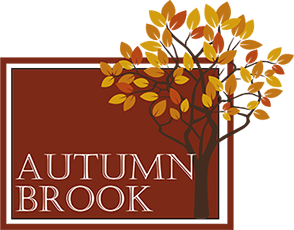Autumn Brook